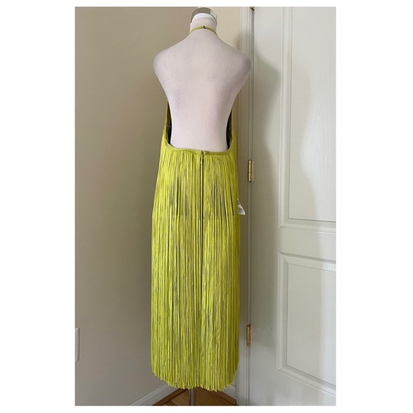 Herve Leger Fringe Halter Midi Dress - Picture 7 of 13